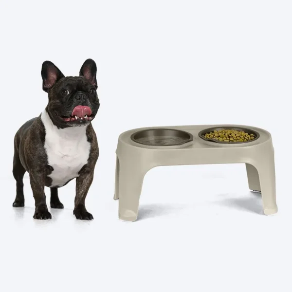 Comedero Alto para Perro Medium - Imagen 3