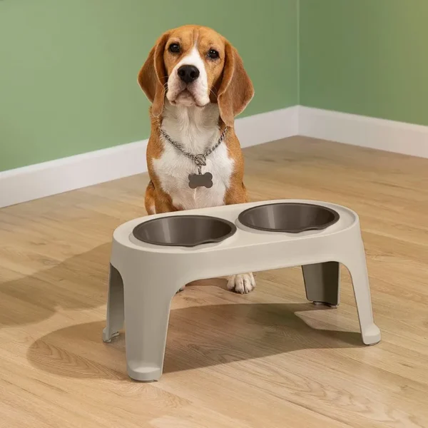 Comedero Alto para Perro Medium - Imagen 5